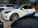 Tesla Model Y 2020