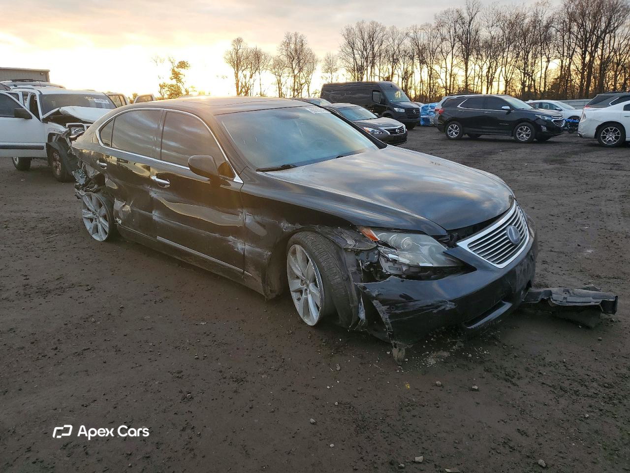 Lexus LS 2008