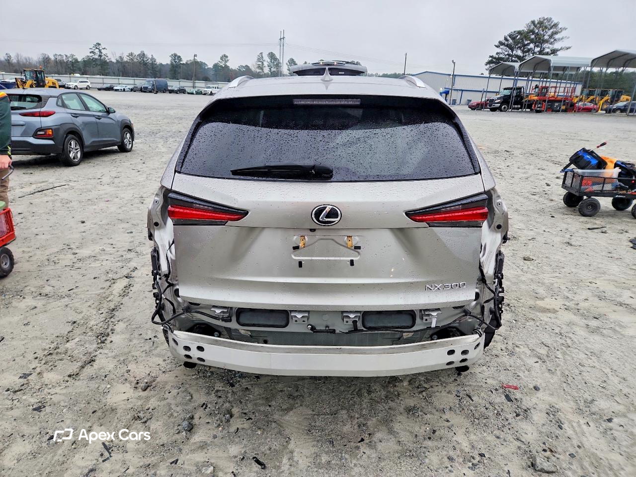 Lexus NX 2021