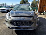 Ford Escape 2020