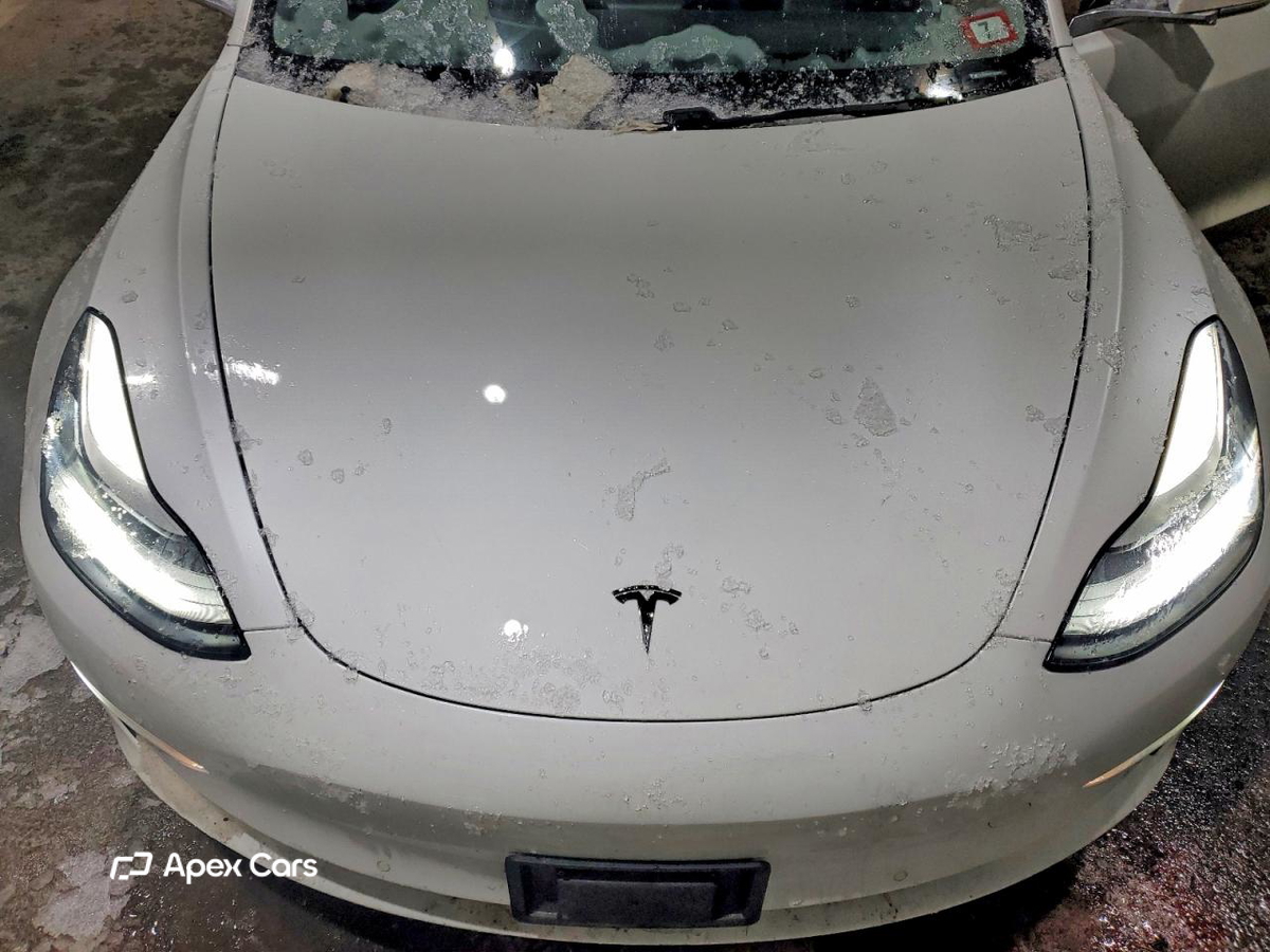Tesla Model 3 2019