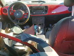 Volkswagen Beetle 2014
