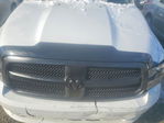 Dodge RAM 2010
