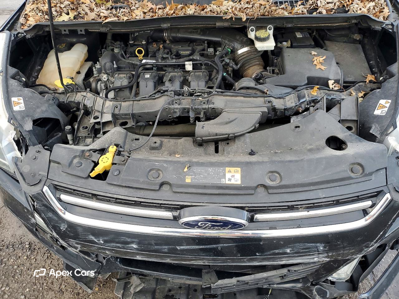 Ford Escape 2014
