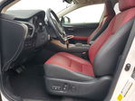 Lexus NX 2020