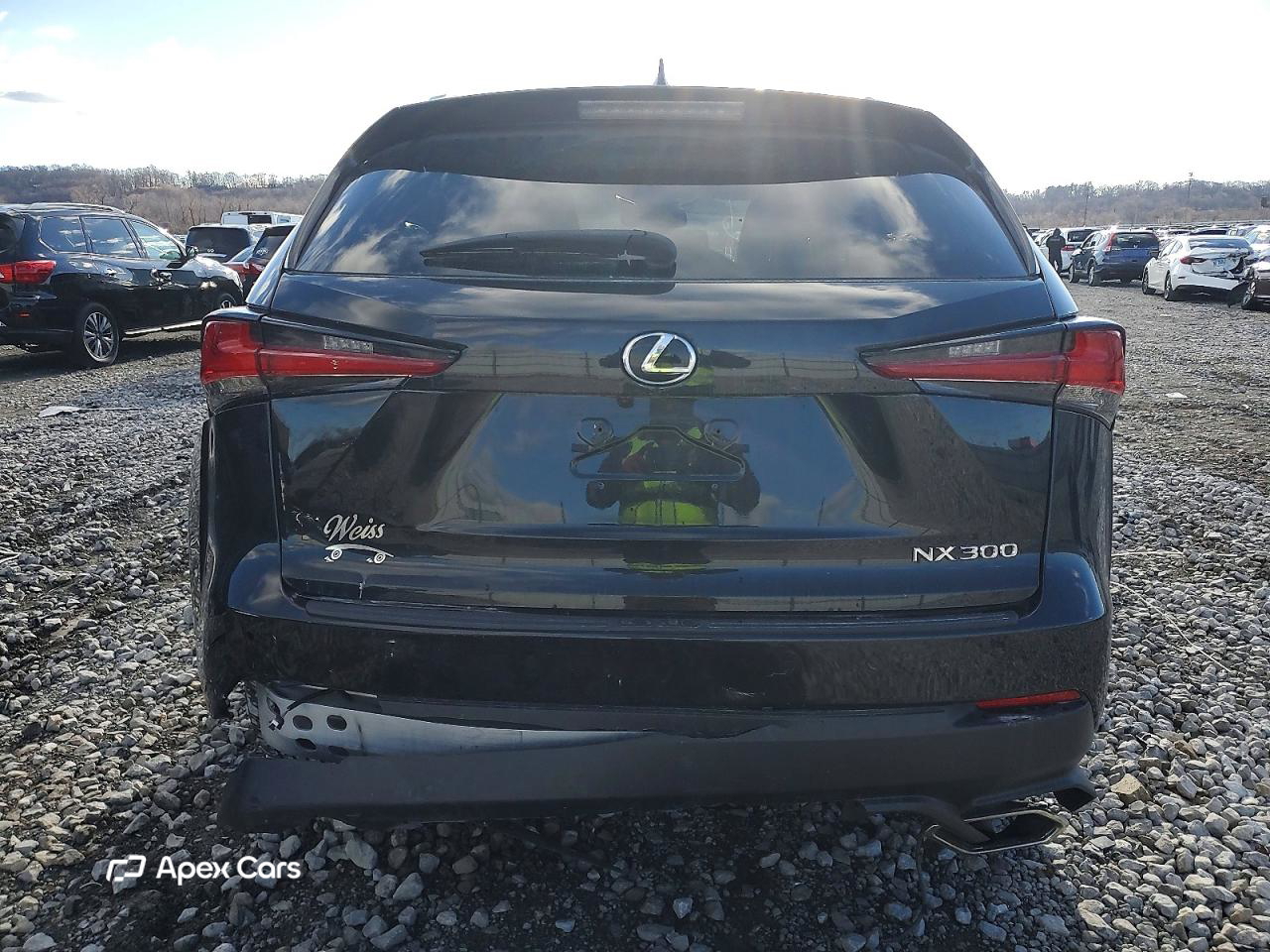 Lexus NX 2021