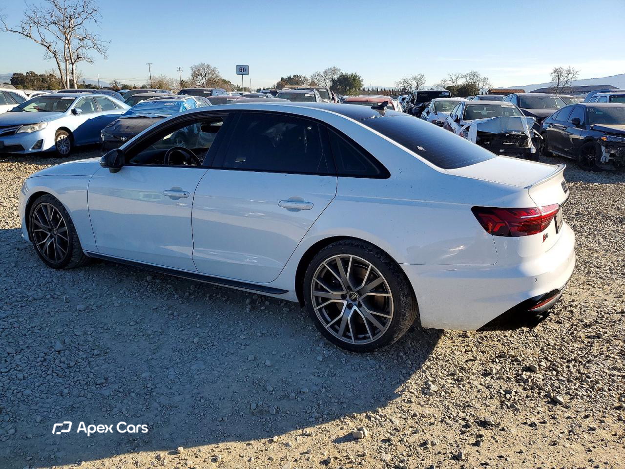 Audi S4 2023