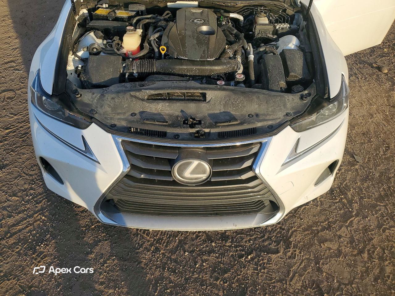Lexus IS 2017