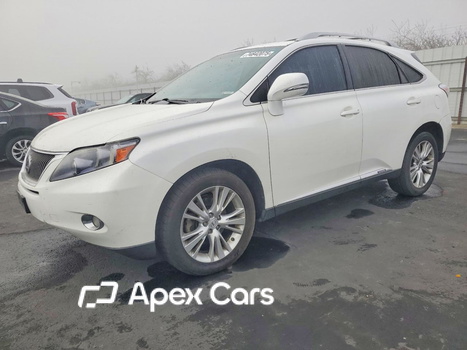 Lexus RX 2010 - Image 1 of 13