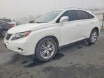 Lexus RX 2010