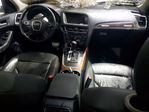 Audi Q5 2010