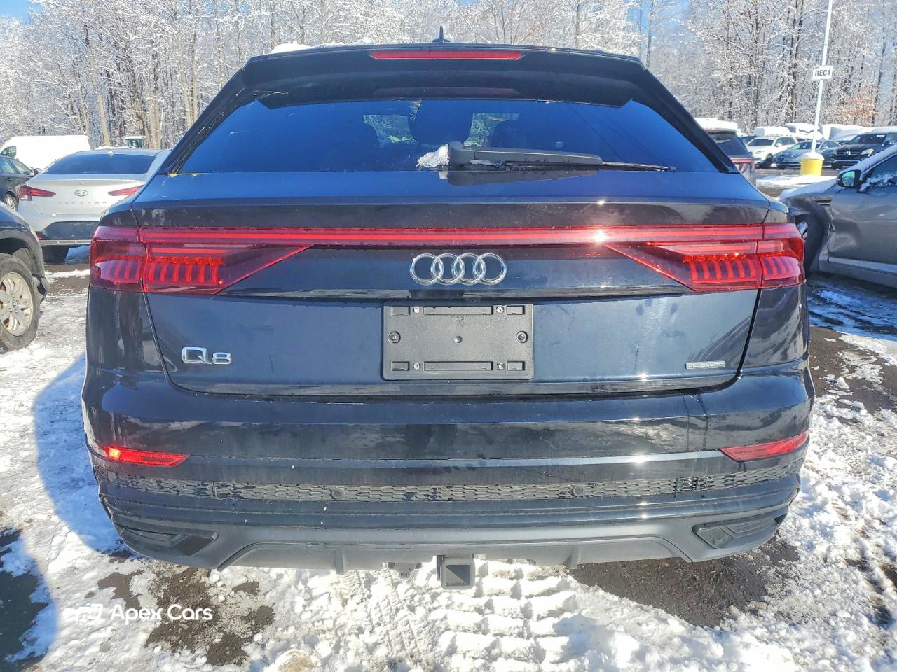 Audi Q8 2019