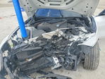BMW Series 4 2024