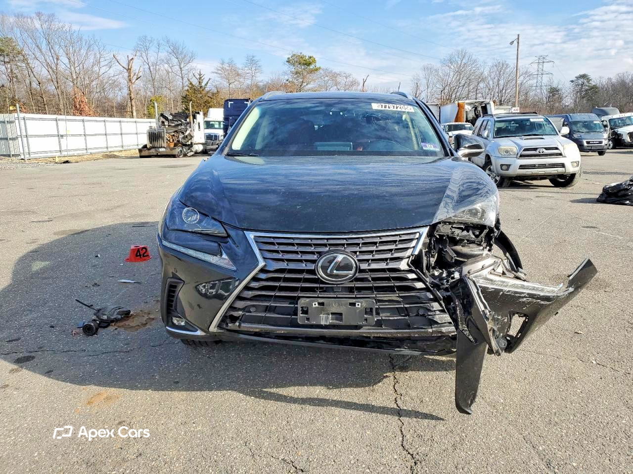 Lexus NX 2019