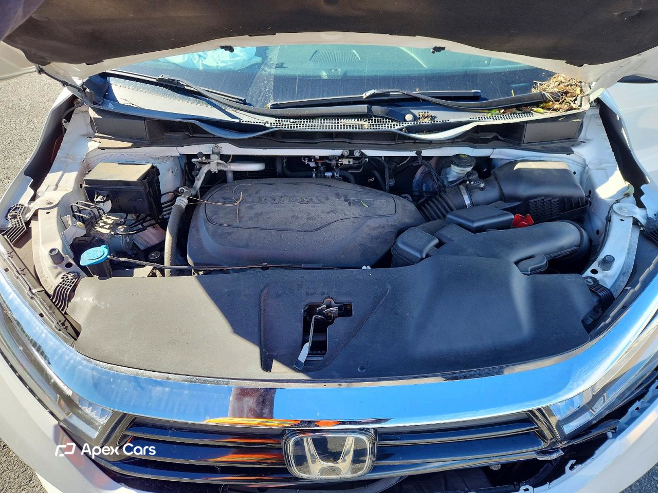 Honda Odyssey 2021