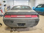Dodge Challenger 2009