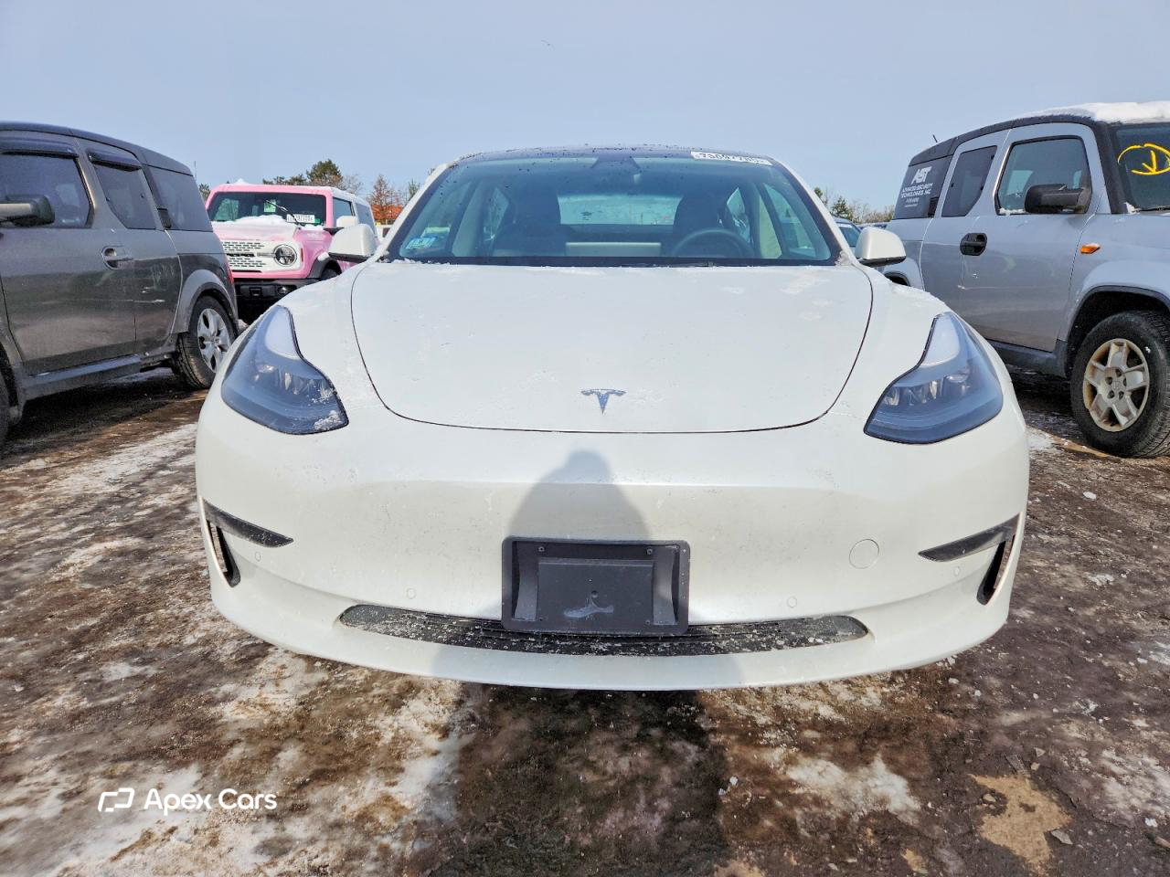 Tesla Model 3 2022