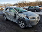 Lexus NX 2017