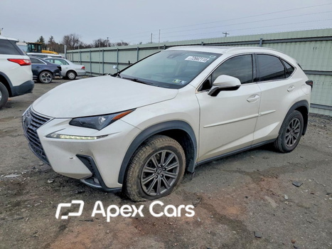 Lexus NX 2020 - Zdjęcie 1 z 12