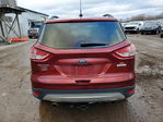 Ford Escape 2014