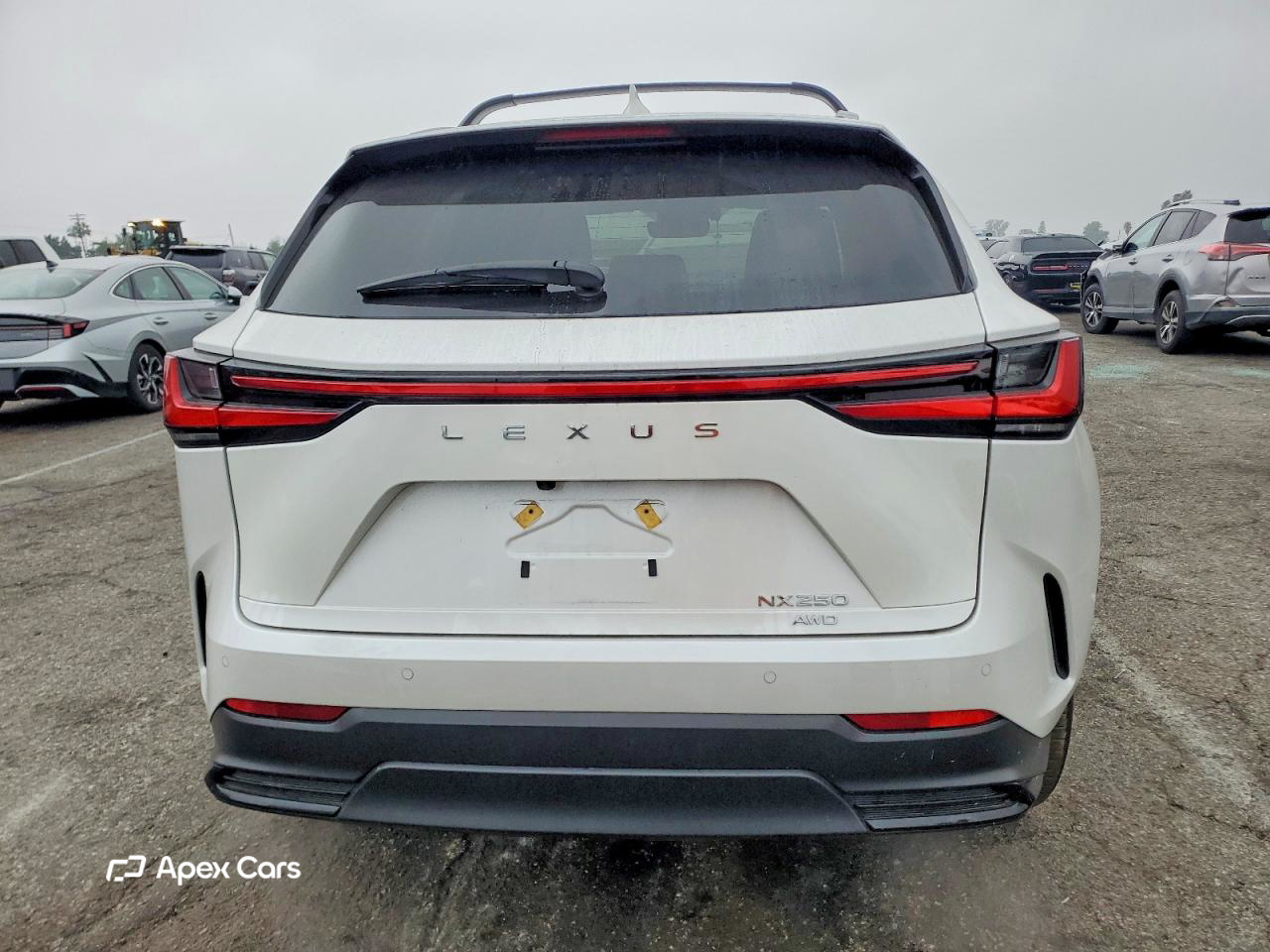 Lexus NX 2025