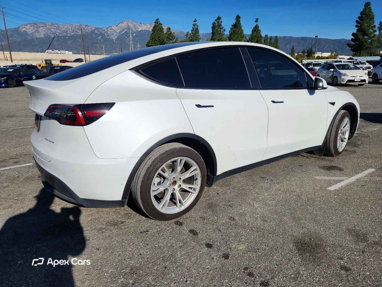 Tesla Model Y 2021
