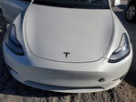 Tesla Model Y 2020