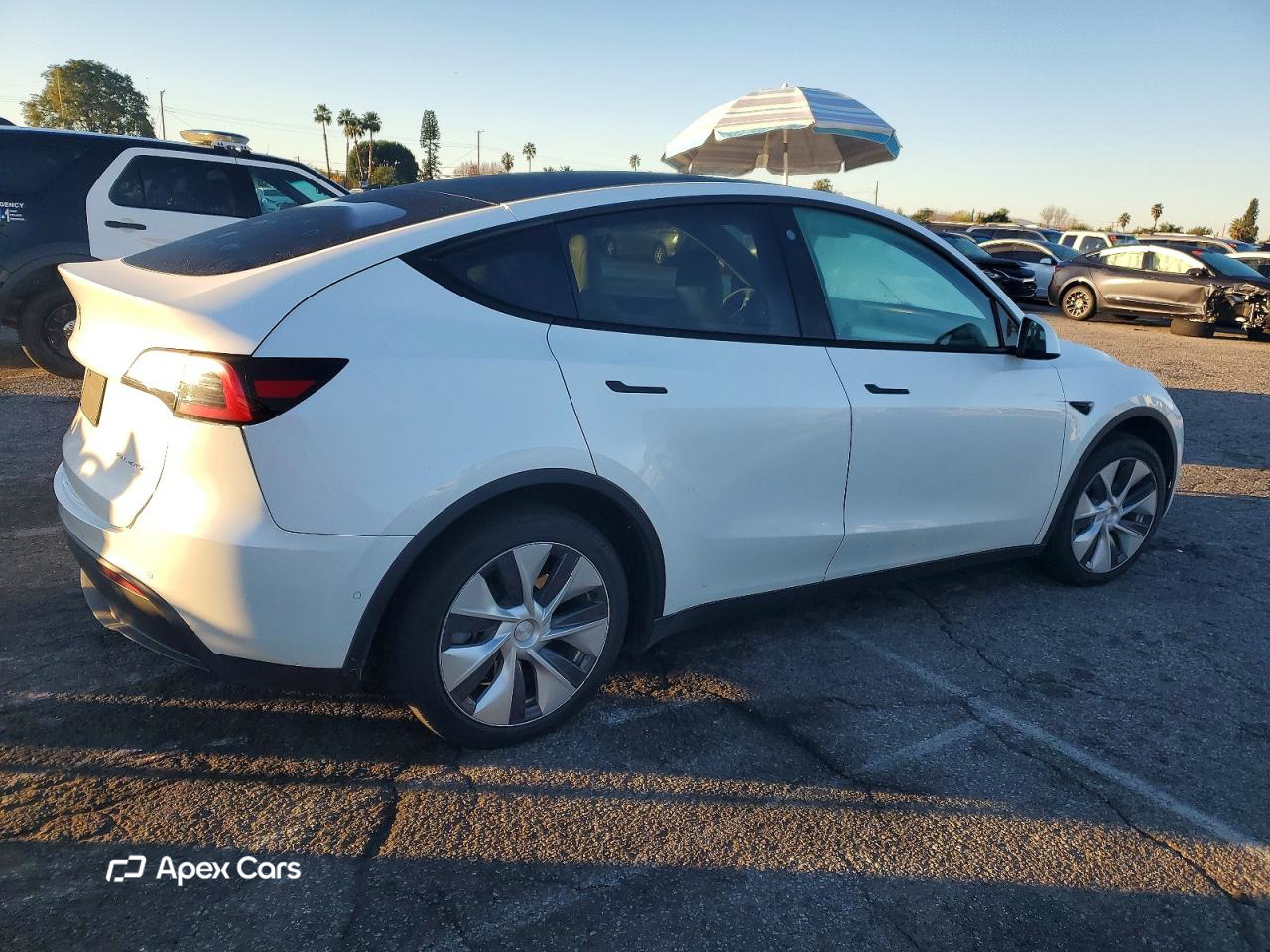 Tesla Model Y 2021
