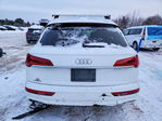 Audi Q5 2021