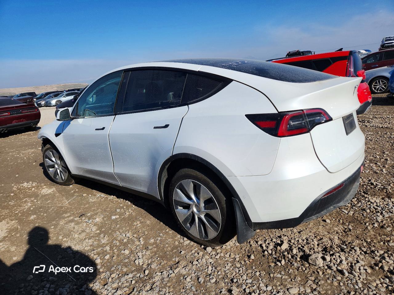 Tesla Model Y 2021