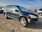 Honda CR-V 2010