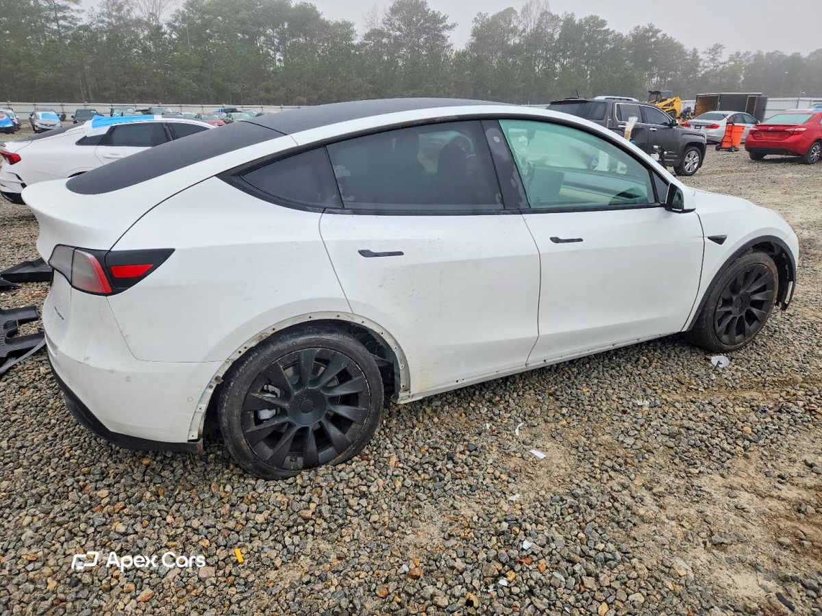 Tesla Model Y 2021