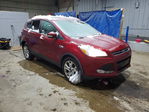 Ford Escape 2015