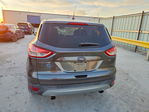 Ford Escape 2015