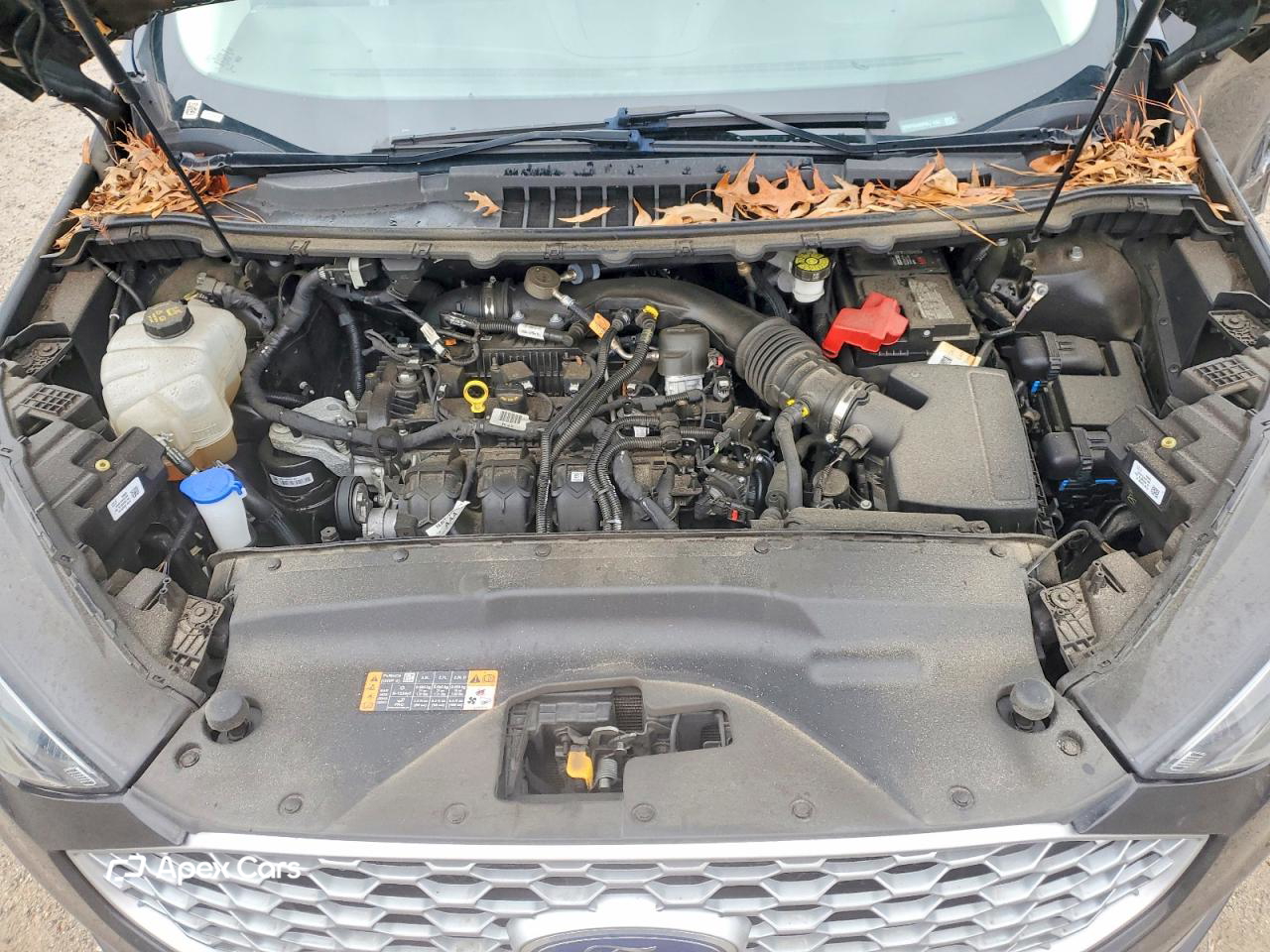 Ford Edge 2023