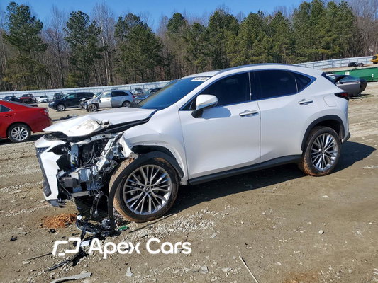 Lexus NX 2025 - Zdjęcie 1 z 13