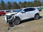 Lexus NX 2025