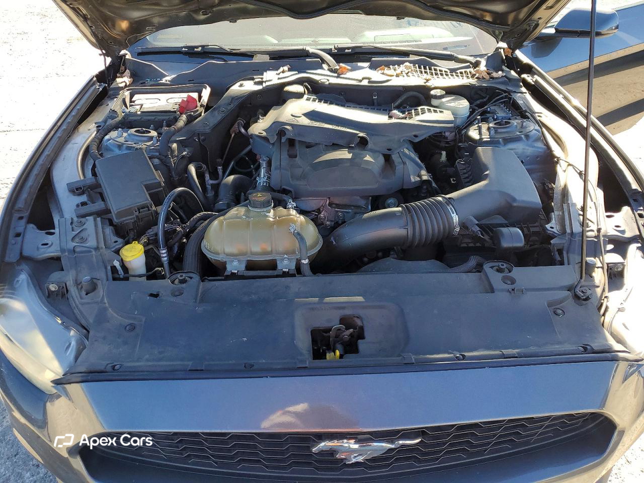 Ford Mustang 2015