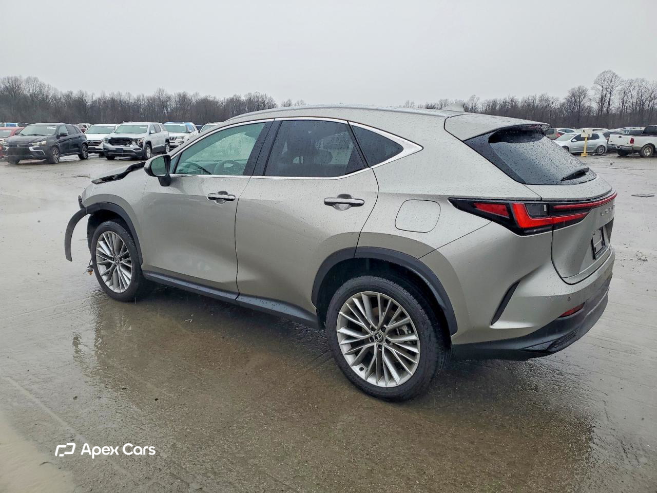Lexus NX 2025