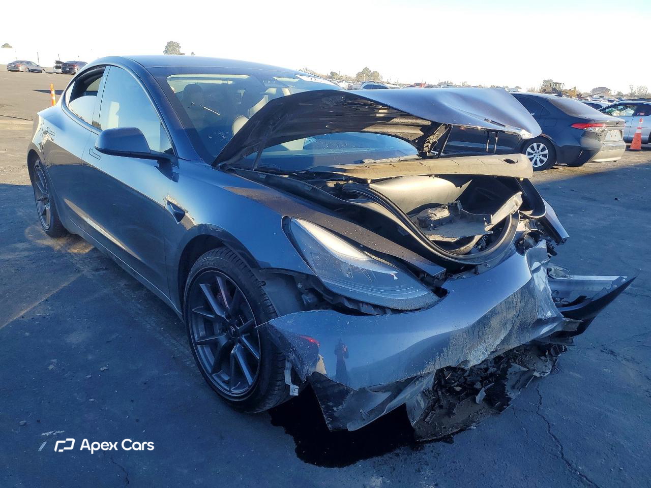 Tesla Model 3 2021