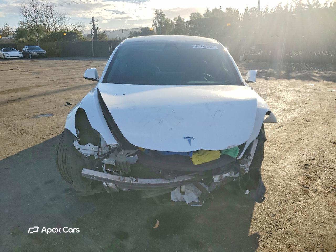 Tesla Model 3 2021