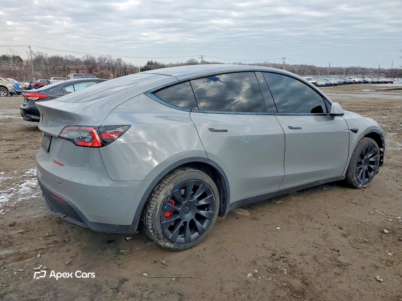 Tesla Model Y 2021
