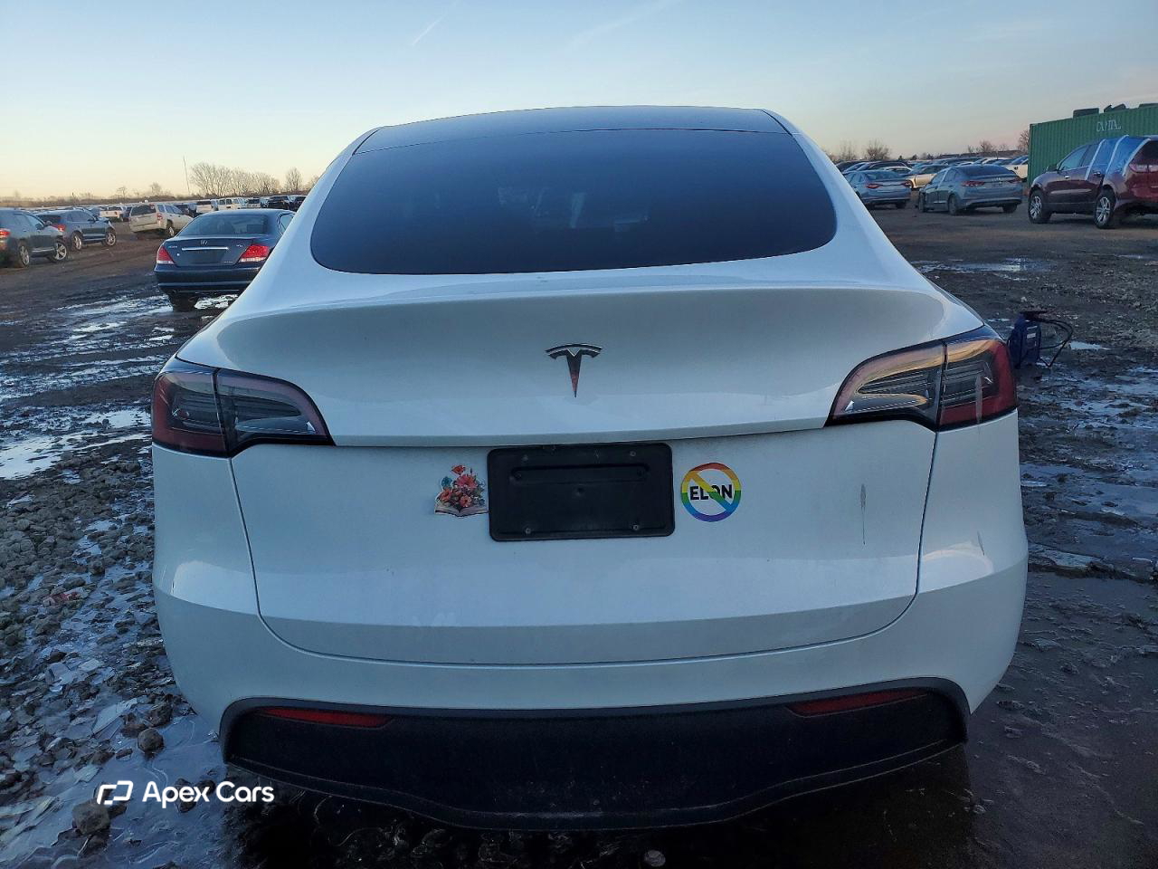 Tesla Model Y 2024