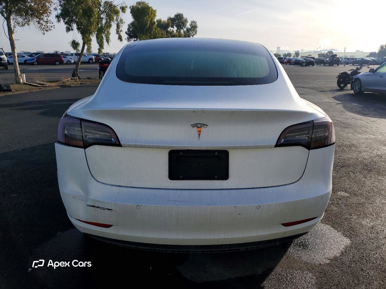 Tesla Model 3 2019