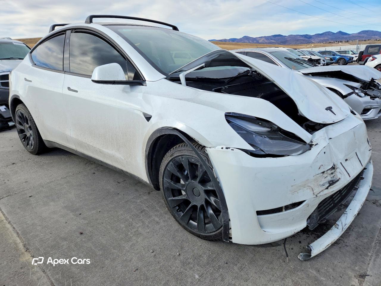Tesla Model Y 2023