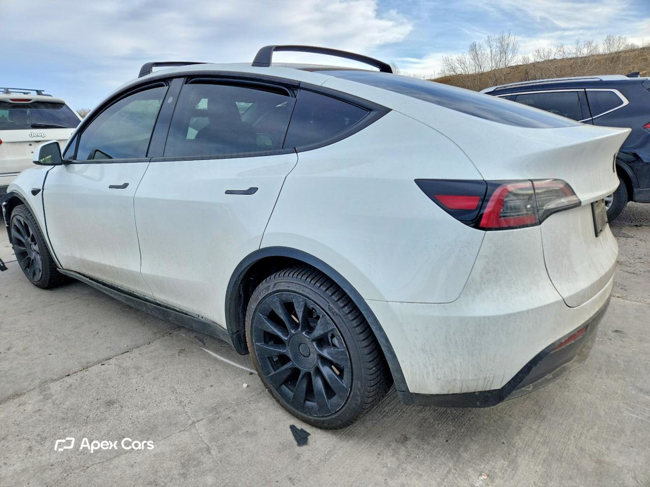 Tesla Model Y 2023