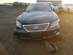 Lexus LS 2008
