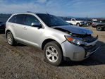 Ford Edge 2014