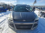 Ford Escape 2013
