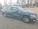 Lexus LS 2008